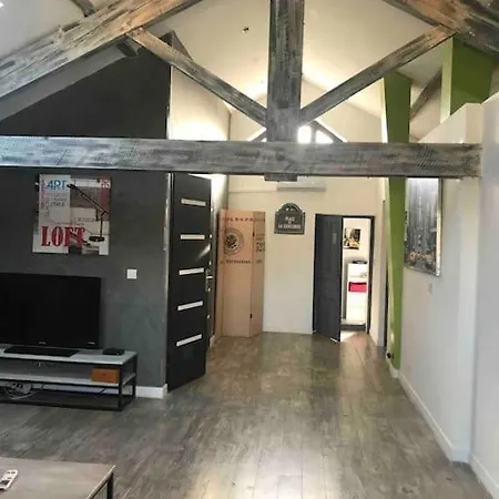 Apartment Grand Loft Design Calme